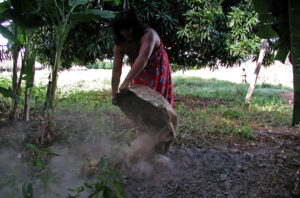 Menos dúvidas sobre a origem da terra preta amazônica.
