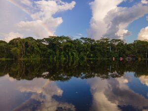 Estudo comprova que criar áreas protegidas diminui fogo na Amazônia.