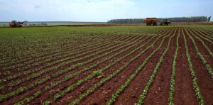 Agro-suicídio: o desmatamento coloca em perigo o agronegócio e a segurança alimentar no Brasil e no mundo.