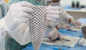 Pesquisas sobre o beneficiamento da pele da tilápia para tratamentos e cirurgias recebem sua primeira patente no País.