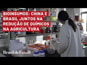 Bioinsumos: a parceria entre China e Brasil para diminuir o uso de produtos químicos na agricultura.