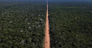 OPINIÃO: Em defesa do asfalto na Amazônia.
