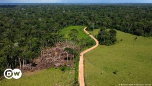Filme sobre Amazônia convida a “Pisar suavemente na Terra” – DW.