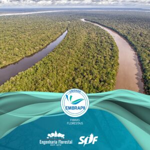 Explorando a Bioeconomia na Amazônia: A Jornada da Unidade EMBRAPII Fibras Florestais UFV.