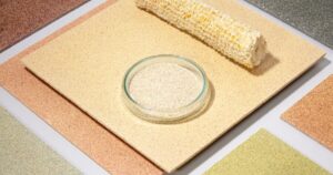 Paredes biobased feitas de sabugos de milho são recicláveis e biodegradáveis no final de sua vida útil.