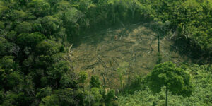 A Terra precisa de uma bioeconomia amazônica por Robert Muggah, Tatiana Schor and Ilona Szabó