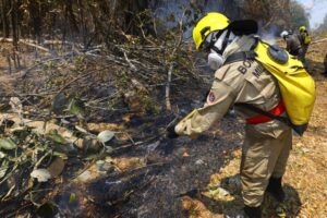 Agência BNDES de Notícias – Fundo Amazônia amplia para R$ 405 milhões apoio aos Estados contra incêndios florestais.