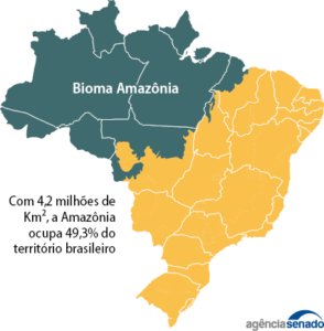 Amazônia sofre com devastação e extrema alteração climática