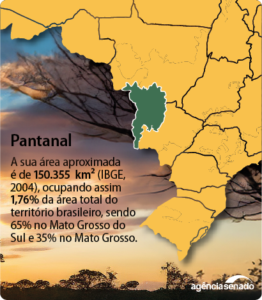 Resiliente, Pantanal busca recuperação em meio a incêndios e secas.