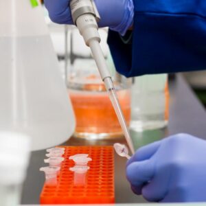 Construindo uma bioeconomia alemã para plásticos: pesquisador propõe um plano de ação para a indústria.