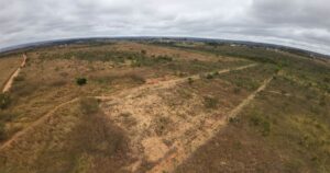 Taxa de desmatamento no Cerrado segue estável, mas área perdida é superior à da Amazônia