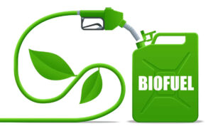 BioFuelCircle planeja expansão em toda a Índia até 2028, com o objetivo de conectar um milhão de agricultores à cadeia de suprimentos de bioenergia