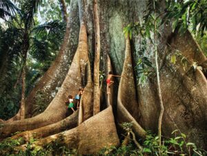 C6 Bank e Mastercard patrocinam livro “Amazônia das Crianças”, de Araquém Alcântara