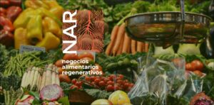 O papel dos sistemas alimentares na crise climática e na COP 28