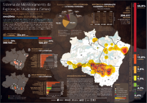 Mapeamento do desmatamento na Amazônia
