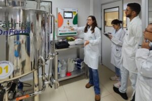 Iniciativa pioneira promove produção sustentável de dendê em sistemas agroflorestais