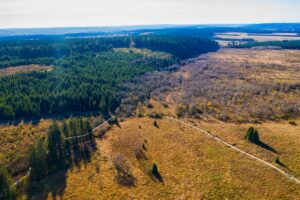 Novo estudo propõe alinhamento consistente na contabilidade de fluxos de CO₂ da terra