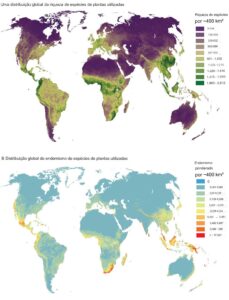 Diversidade global de plantas utilizadas pelo homem: lacunas e prioridades de conservação