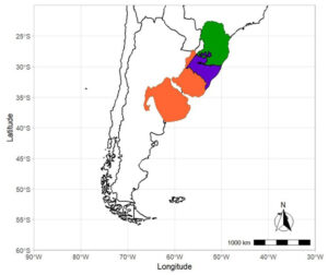 Potência mundial da biodiversidade: estudo revela que o Pampa brasileiro abriga mais de 12.500 espécies