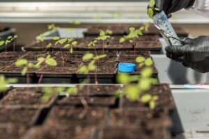 EPA reconhece inovador biofungicida da Micropep como ingrediente ‘bioquímico-similar’