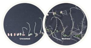 Lucent bio lança revestimento de sementes nutreos em resposta à proibição de microplásticos