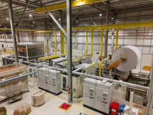 BNDES investe em manejo florestal e inovação com foco na sustentabilidade da Suzano