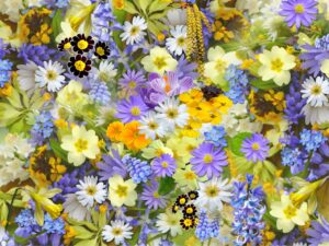 Floricultura circular: resíduos se transformam em inovação sustentável