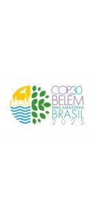 Brasil na vanguarda do financiamento climático: a jornada do G20 até a COP30