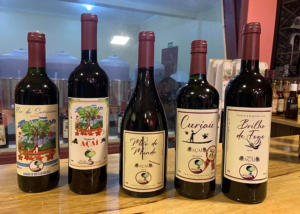 Fermentado de açaí de perfil comparável ao vinho tinto promete novos horizontes para a bioeconomia