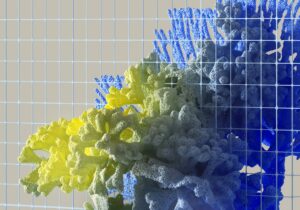 Algas e a bioeconomia: sustentabilidade e inovação nos materiais biobaseados
