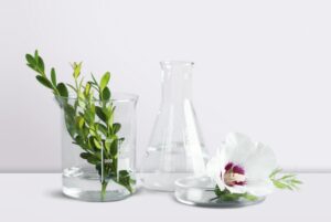 L’Oréal se junta à Debut para desenvolver ingredientes baseados em fermentação