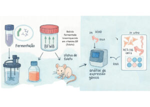 Bebida fermentada à base de uva e leite ativa genes ligados à absorção de nutrientes