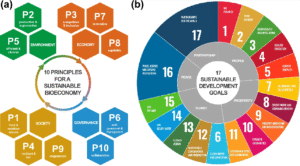 Estudo aponta que estratégias europeias de bioeconomia falham em alinhar sustentabilidade e transição justa
