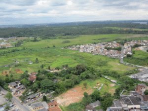 Bordas urbanas de SP oferecem 410 mil hectares com potencial para restauração florestal