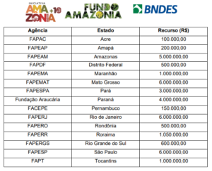 Amazônia+10 abre chamada de R$ 107,1 milhões para inovação em cadeias da sociobioeconomia