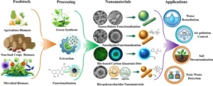 Nanomateriais de biomassa avançam, mas escala e segurança ainda limitam uso ambiental